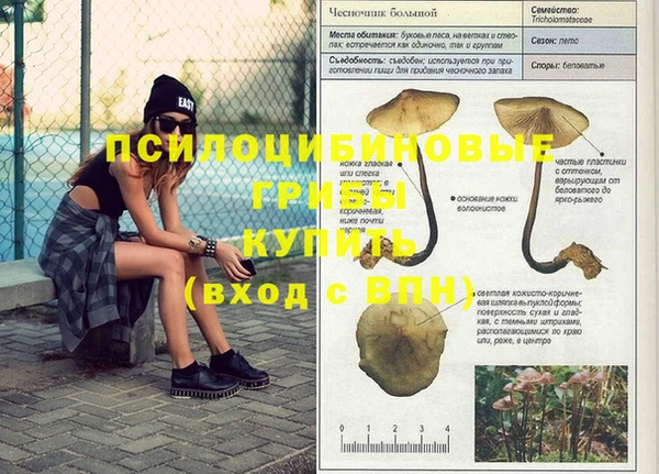 герыч Новозыбков