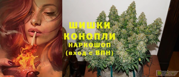 герыч Новозыбков