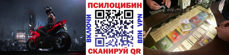 Псилоцибиновые грибы Psilocybe  Пошехонье 
